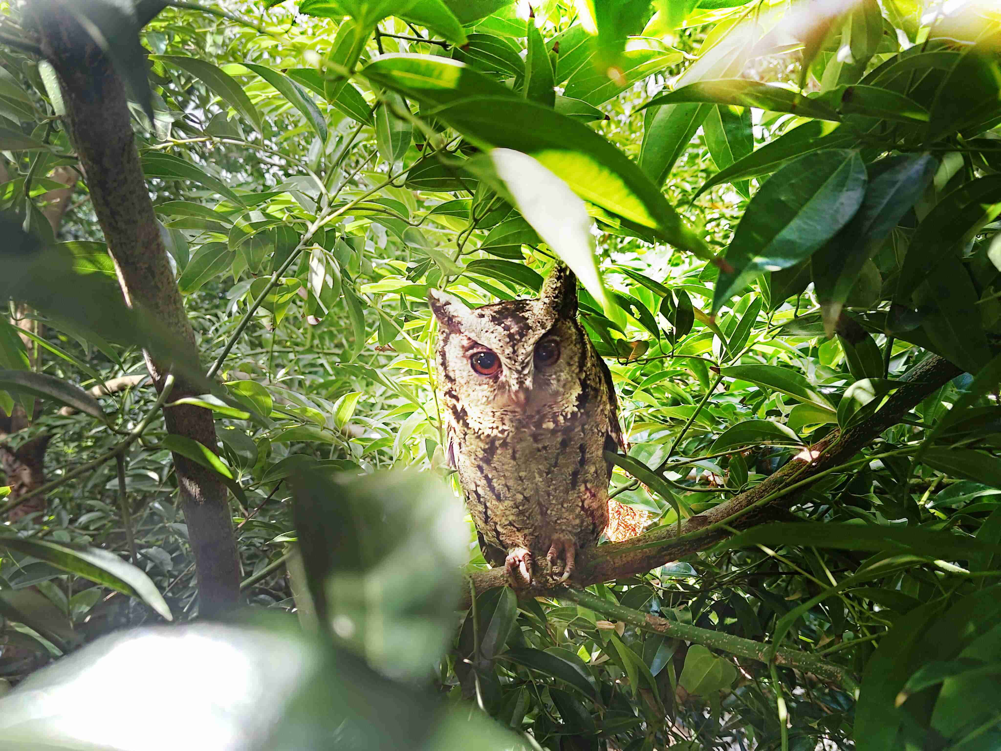 云顶国际8588yd致力提倡净零绿生活，，16年以来在全球各厂区植树逾百万棵，，造就各厂区树木蔚然成林，，，犹如森林工厂，，，，成为许多生物的栖息地